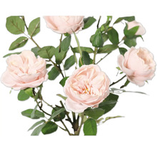 Boeket met delicate rozenbloemen en groene bladeren