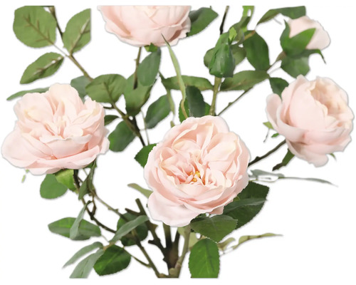 Boeket met delicate rozenbloemen en groene bladeren