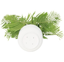 Kunststof plantenpot met varenbladeren