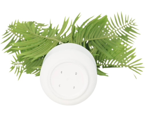 Kunststof plantenpot met varenbladeren