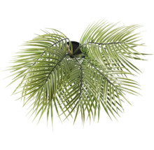 Kunstmatige palmboom in pot, bovenaanzicht.