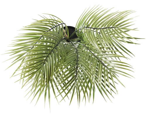 Kunstmatige palmboom in pot, bovenaanzicht.