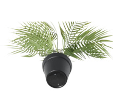 Kunstplant in pot, detail van bovenaf