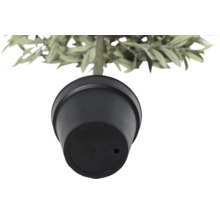 Onderaanzicht van een pot met plant