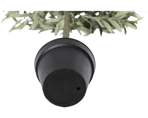 Onderaanzicht van een pot met plant