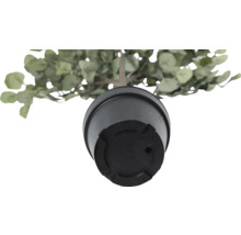 Onderaanzicht van een kunstmatige eucalyptusplant in een pot
