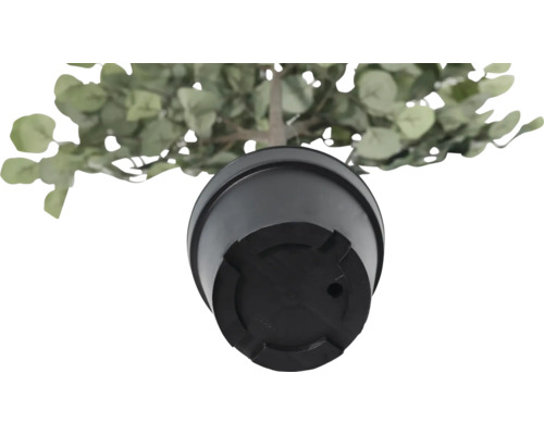 Onderaanzicht van een kunstmatige eucalyptusplant in een pot