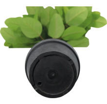 Kunstplant in zwarte pot