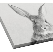 PURE LIVING Schilderij canvas Rabbit 27x27 cm