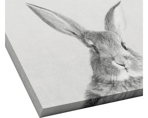 Close-up van een wanddecoratie met een konijnmotief