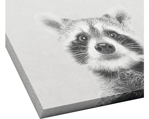 Close-up van een wasbeerportret op een canvas