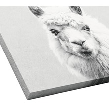 Decoratief item met lama motief