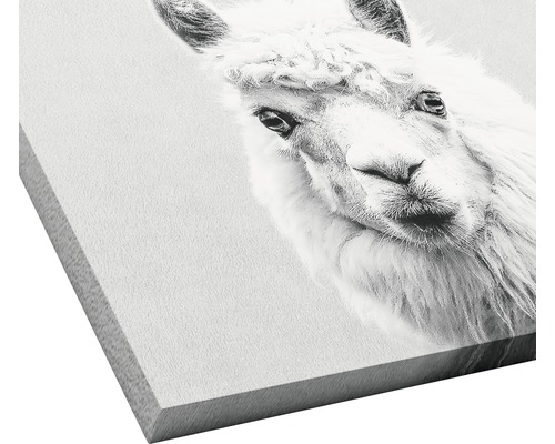 Decoratief item met lama motief