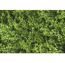 Kunstmatige plantenwand met diverse groene bladeren ter decoratie