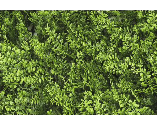 Kunstmatige plantenwand met diverse groene bladeren ter decoratie