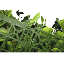 Detailopname van kunstmatige buxushaagpanelen die met elkaar zijn verbonden