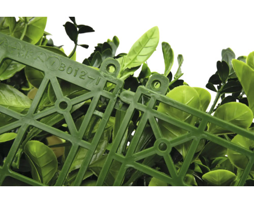 Detailopname van kunstmatige buxushaagpanelen die met elkaar zijn verbonden