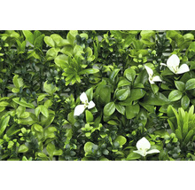 Kunsthaag met groene bladeren en witte bloemen