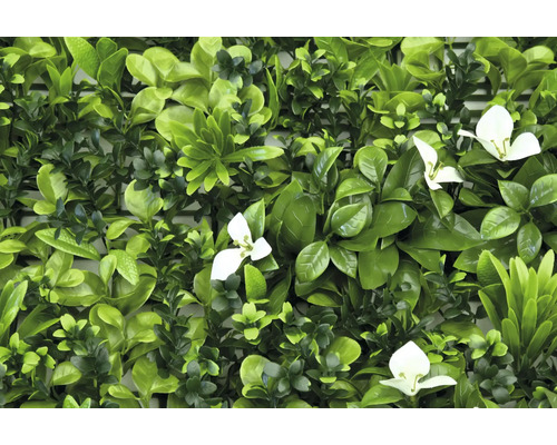 Kunsthaag met groene bladeren en witte bloemen