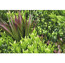 Kunstmatige plantenwand met varens en bladeren