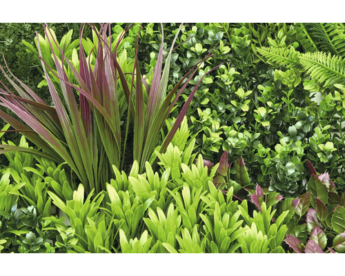 Kunstmatige plantenwand met varens en bladeren