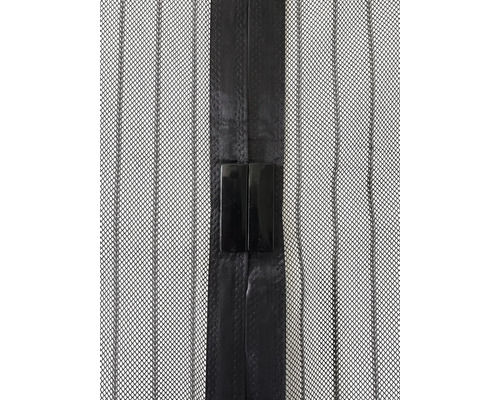 Detailweergave van een magnetisch insectenhor