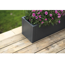 Grijze plantenbak met bloeiende bloemen op een houten terras