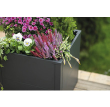 Bloembak beplant met herfstbloemen