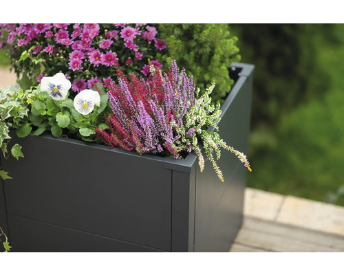 Bloembak beplant met herfstbloemen