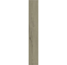 Houtdecorvloerplank voor binnenshuis