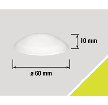 Producttekening met een diameter van 60 mm en een hoogte van 10 mm