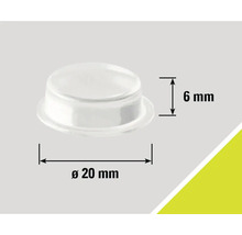 Meubelglijder, diameter 20 millimeter, hoogte 6 millimeter