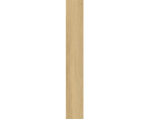 Houttegel in houtlook