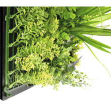 Kunstmatige groene wand met verschillende planten