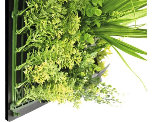 Kunstmatige groene wand met verschillende planten