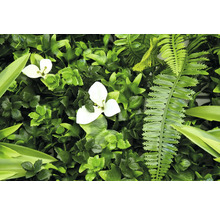 Kunstmatige groene plantenwand met witte bloemen en varens