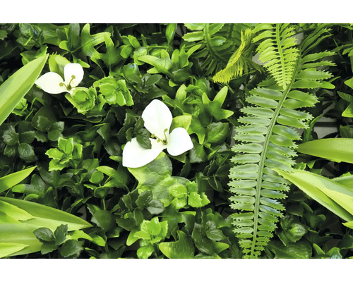 Kunstmatige groene plantenwand met witte bloemen en varens