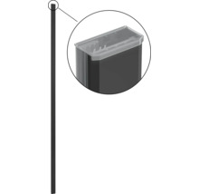 Schuttingpaal met opzetbak