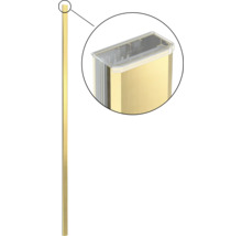 Goudkleurige profielstrip met transparante afdekking