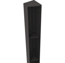 Smalle kast met twee planken
