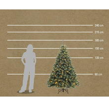 Afbeelding van een kerstboom in verschillende maten vergeleken met een persoon