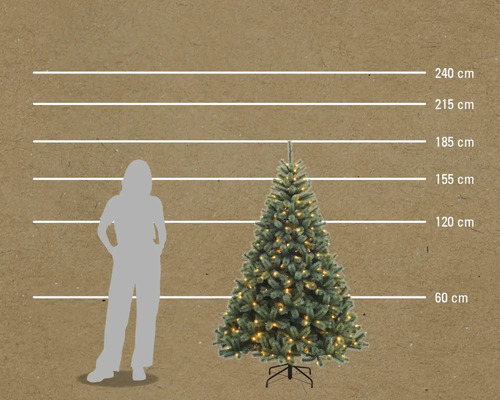 Afbeelding van een kerstboom in verschillende maten vergeleken met een persoon