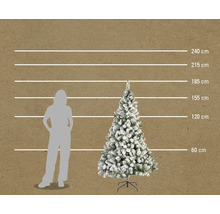 Illustratie van een besneeuwde kerstboom met hoogteaanduidingen in centimeters