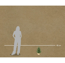 Decoratieve kerstboom met een lengte van 45 centimeter.