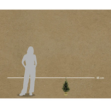 Afbeelding van een kleine kerstboom met een hoogte van 45 centimeter