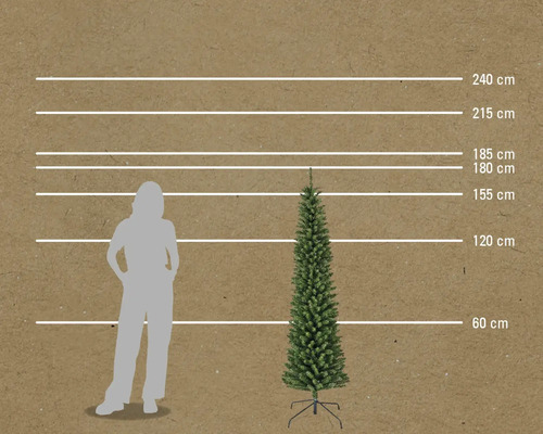 Vergelijking van de grootte van een slanke kerstboom met een persoon en meetlijnen in centimeters