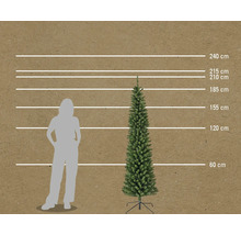 Maatvergelijking van een kunstmatige spar met hoogtemarkeringen en een persoon.