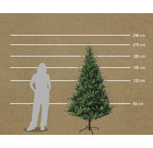 Maatvergelijking kunstkerstboom met vrouw en maataanduidingen