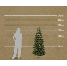 Maatvergelijking van een kunstmatige spar met een persoon aan de hand van een schaal in centimeters.