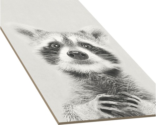 Decoratieve plaat met een wasbeermotief